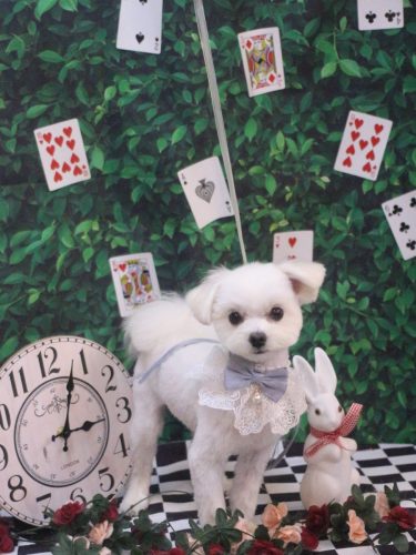 20250430レイくん